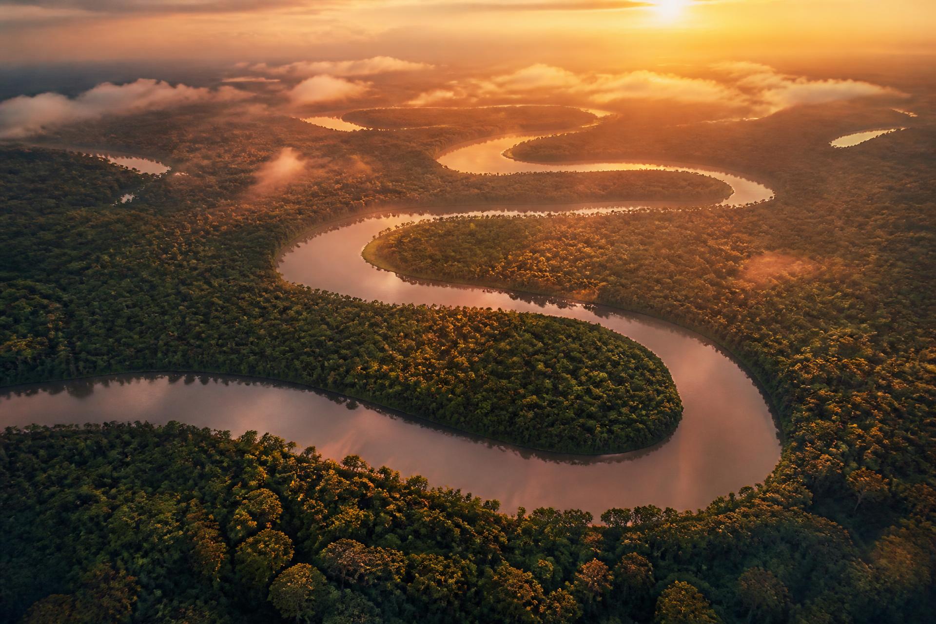 Vista aérea de um rio sinuoso cortando a floresta amazônica ao amanhecer